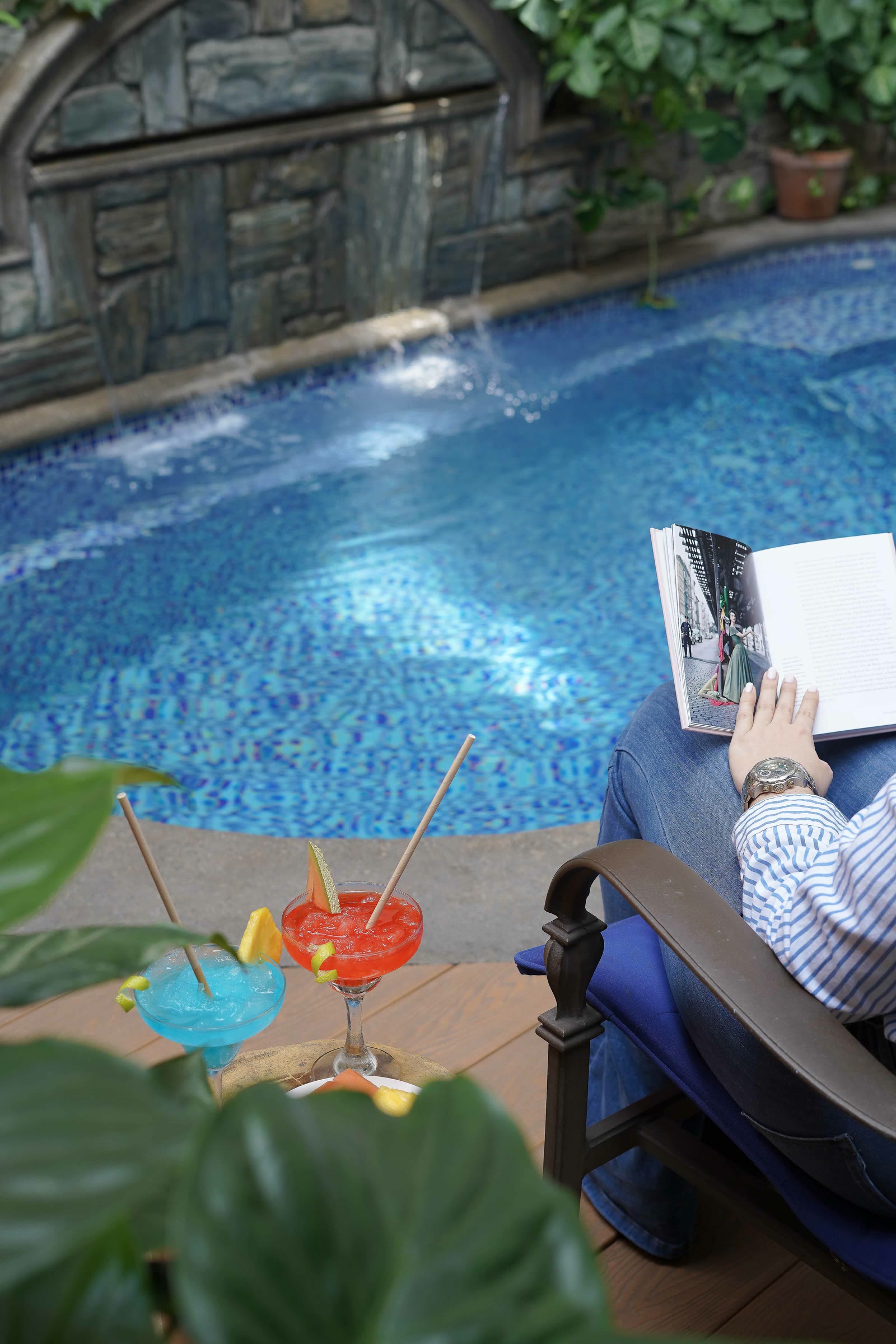 Jardín y áreas verdes